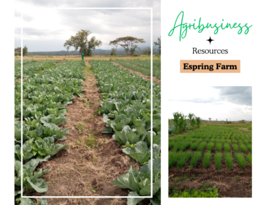 Espring Farm - Rent Land for Agribusiness